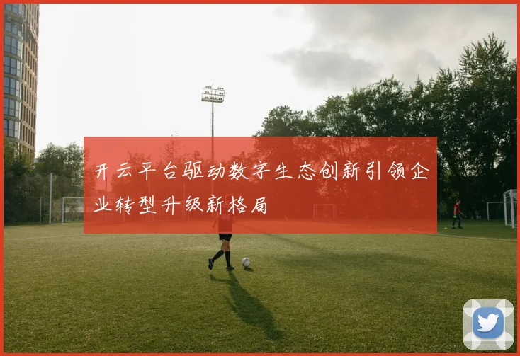 开云平台驱动数字生态创新引领企业转型升级新格局