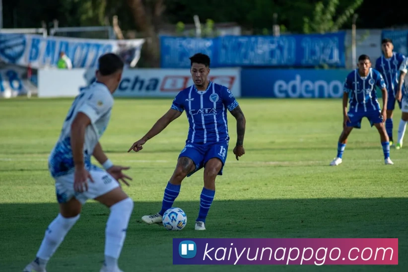 开云平台展示图